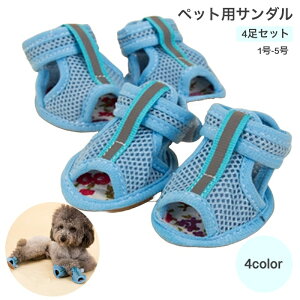  ybgpT_ 4Zbg hbOV[Y ybgV[Y hbOEGA pi ybgObY T_ bV }WbN e[v   ʋC ی  bh 