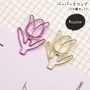  y[p[Nbv [Nbv F10Zbg [ pi 傫 ڗ ₷  `[bv  t[ S[hJ[ sN p[v  L[g |