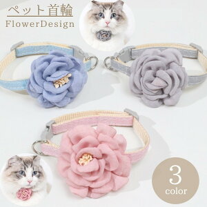   J[ ybgpi L   ANZT[ `[J[ ^b`obN  ΂  t[ JA 