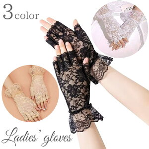   O[u [X fB[X p wȂ tBK[X ԕ  tA uC_ EFfBO SX RXv ߑ Cxg i  GKg p[eB