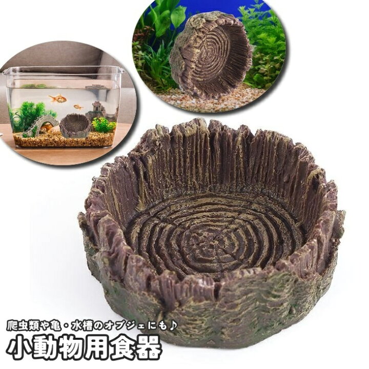 楽天市場】送料無料 小動物用食器 エサ皿 エサ入れ 爬虫類 トカゲ カメ 