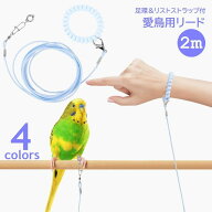 送料無料 鳥用 足環付きリード 2m トリ散歩 足輪 フットリング アンクレット付 リーシュ フライングロー…
