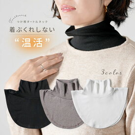 送料無料 つけ襟 タートルネック ハイネック コットン 綿 無地 シンプル ベーシック 秋 冬 おしゃれ あったか つけえり 付け衿 ネックウォーマー ネックカバー 首 肩 背中 温活 首元 冷え対策 シワ隠し 重ね着 雑貨 小物 ギフト プレゼント プラスナオ トップス