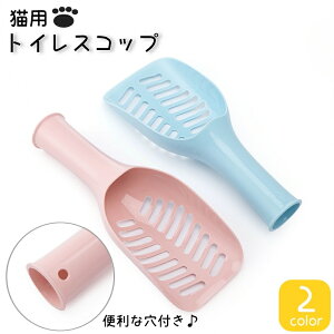  gCXRbv LXRbv lR ˂ ybgObY  LVx lRgC | Vv x[VbN  gC^[pi Еt ybgpi