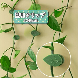  UNbv 10Zbg |Nbv ŒNbv Ǌ| ʃe[v [t^ _ | K[fjO ږ  oh Œ    ֗   CeA ϗt