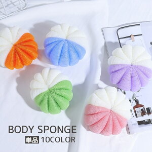  {fBX|W Pi oXX|W A {fBEHbV EHbVX|W 炾 oXObY g̐ C  oX[ V[[  킢