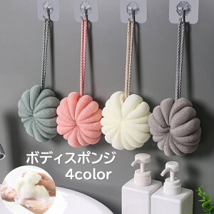  {fBX|W oXX|W oXpi oXObY {fB^I A [vt {fBPA g̐  C ی^ 킢