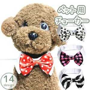 送料無料 ペット用チョーカー 蝶ネクタイ ボウタイ ネクタイ 襟付き 犬 猫 アクセサリー 首飾り リボン 結婚式 お呼ばれ パーティー 仮装 ハロウィン 目立つ 誕生日 バースデイ 主役 かわい