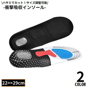  C\[ ~ fB[X Y A[`T|[g NbV Ռz y܂   X|[c d ɂ