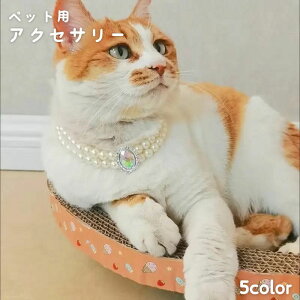  ybgpANZT[ lbNX p Lp ^ 킢 L[g  ybgpi ybgObY 񂿂 ˂