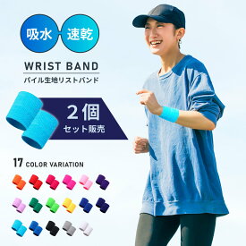 送料無料 2個セット リストバンド カラーリストバンド 手首サポーター 汗拭き 汗止め 吸汗 通気性 パイル 無地 推しカラー 推し活 推し色 メンズ レディース 男性 女性 男女兼用 ユニセックス スポーツ アウトドア フリーサイズ 洗顔 袖濡れ 防止 袖濡れ防止 水濡れ防止 シン