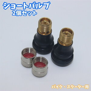  oCNpV[gou 2Zbg GAou V[g^Cv oCNpi P t a Z 2cm   u hXAbv