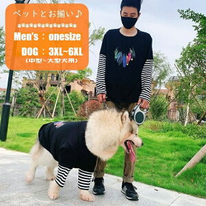  ybgEFA ybg hbOEFA TVc ybgƂ yAbN ^ Y j gbvX   H vg ubN {[_[ 킢  