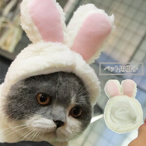  ybgpXq ybgpi t ETM ybgEFA  ӂӂ 蕨 킢  ^ lR L Ck RXv  ߑ Cxg Be ʐ^