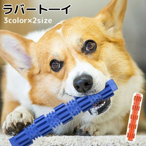  o[g[C p XeBbN^ _ ˋN  XgX uV ߋ ybgpi o[gC Ck  hbO