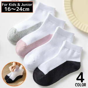  C V[gN[\bNX LbY WjA ̎q j̎q q  bV ʋC z n oCJ[ Vv 