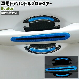  ԗphAnhveN^[ 8Zbg 8 ˍޓ  J[{ Vv   hAnh   h~  hXAbv veN^[  ԗpi J