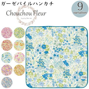  VVt[ nJ` vXiI { ԕ ԕ 25cm K[[nJ` ^InJ` fB[X 킢 i  t[p^[   wl Mtg v