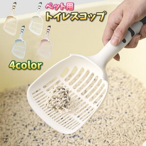  gCXRbv LVx tXRbv ybgpi gCpi ˂ lR  |   ₷