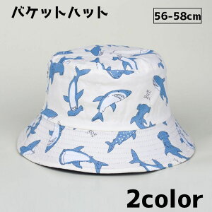  oPbgnbg Xq fB[X  Y j vg T JWA Vv 킢  悯 O΍