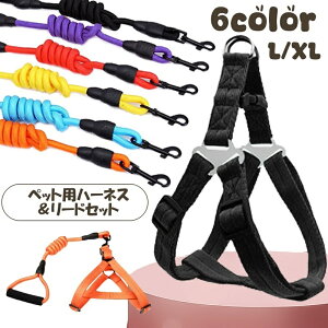  n[lX[h 2_Zbg ybgpi n[lX [h ybg[v  UR R [v ˔ ^ ^ Vv n 킢  Ck