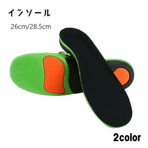  C\[ ~ Y j fB[X  Cpi CANZT[  Ռz NbV TCY߉ PApi Sy t[Jbg ^C Xj[J[ EH[L