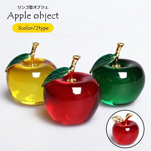  u IuWF 50mm S  ь NX^ CeAG  v[g 蕨   rO y[p[EFCg