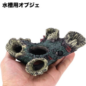  pIuWF ANAE I[ig   ۑ Ebh A  u Mы B Vя  i