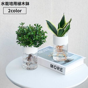  Aؔ t[|bg vX`bN k͔| ͔|  NA Vv |pi K[fjO ϗtA ώ@ R  CeA u