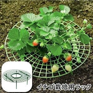  C`S͔|pbN X^h C`SxI x K[fjO _ |pi Xgx[T|[g U |x |I |bN ؍͔| gݗĎ ݒu