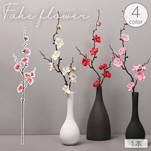  tFCNt[ ~̉ 1{ Pi lH  t[AWg A[gt[ ͂Ȃ i` R CeA    i Y  Q