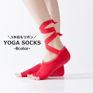  K\bNX 5{w fB[X  C  Ԃ { ~ߕt seBX g[jO KEFA