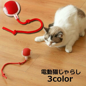  dL炵 ybgp  {[  ] [O Rt [v Lp  lR ybggC ]  ɂԂ XgX `E