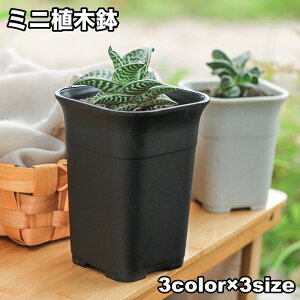 送料無料 植木鉢 フラワーポット プランター ミニ 観葉植物 多肉植物 ガーデニング 園芸用品 スクエア お洒落 盆栽 シンプル 室内 屋外 インテリア