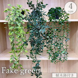  tFCNO[ Aؔt lHϗtA    [t t A   ͂Ȃ  i` R 