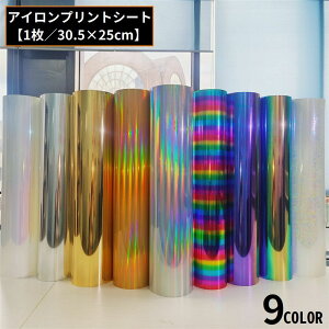  ACvgV[g ACV[g o[V[g M] Of[V ϐF VGbgJIΉ ɋ TVc