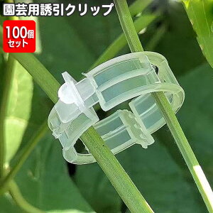  |pNbv UNbv 100 a3cm ^b`Nbv |pi xpi xpANZT[ K[fjO ƒ؉ _Ɨp   ڂ