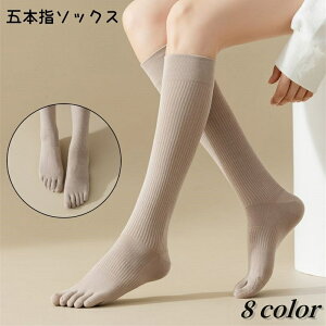  ܖ{w\bNX fB[X C nC\bNX 5{w  \bNX j[nC JWA Vv  킢 ig fC[