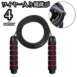  ꒵ lp 290cm ȂƂ C[ g[jO ^ X|[c tBbglX g  Wv[v ؃g   Y fB[X j  jp