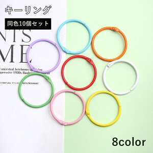  L[O 10Zbg L[z_[ O^ ی^   p[c DIY nhCh  ANZT[