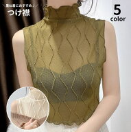 送料無料 つけ襟 付け襟 レディース 女性用 婦人服 ハイネック 立ち襟 フェイクカラー 総レース メロウフ…