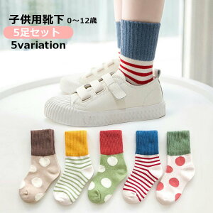  qpC qp\bNX 5Zbg LbY xr[ ̎q j̎q qp hbg  {[_[ n[g 킢  Jt C ct ۈ牀 w