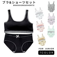 送料無料 ジュニア ブラジャー ショーツ 上下セット ハーフトップ ジュニアブラ キッズ インナー ファー…