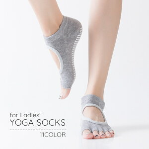  K\bNX ܖ{w\bNX 5{wC fB[X ~ߕt ܐȂ bJ Eɂ ɂ X|[c ^