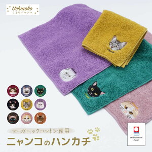  ^I ^InJ` nh^I ~j^I ͂񂩂 25cm ̃jR 100 I[KjbNRbg { |Cg L hJ ˂ lR Mtg G 蕨 v