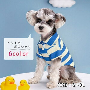  ybgp|Vc Ckp|Vc ybgpgbvX CkpgbvX ^ L lR ybgEFA  ybgObY  ۋ w[lbN vI[o[  {[_[ 