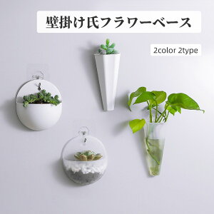 �������� �t�����[�x�[�X �ԕr �t�����[�X�^���h �Ԋ� �Ǌ|�� �ǖ� �ϗt�A�� �v�����g �O���[�� ���k�͔| �C���e���A �G�� �V���v��