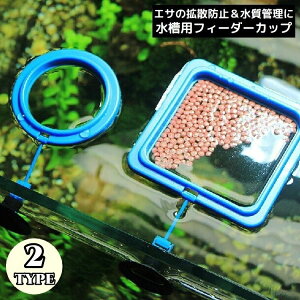  agUh~O tB[_[Jbv a pGTM  p zՕt GT Ȃ ~` Eh ` lp