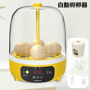  z ӗ z  CLx[^[gC GbO[[ pi 4 ^}S̛z USB[d^Cv `E ]