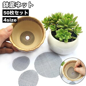  lbg 50Zbg }bg K[fjO ~` T[N  K[fjOpi yRh~ ʋC | bV